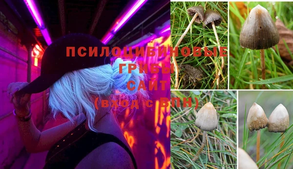 прущие крисы Переславль-Залесский