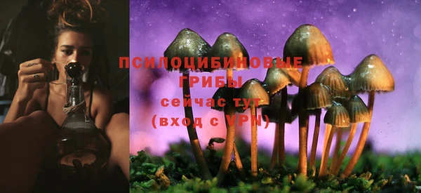 метамфетамин Алексеевка