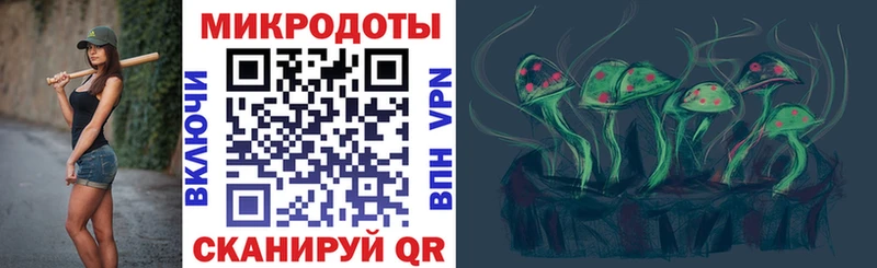 blacksprut Качканар Галлюциногенные грибы Cubensis